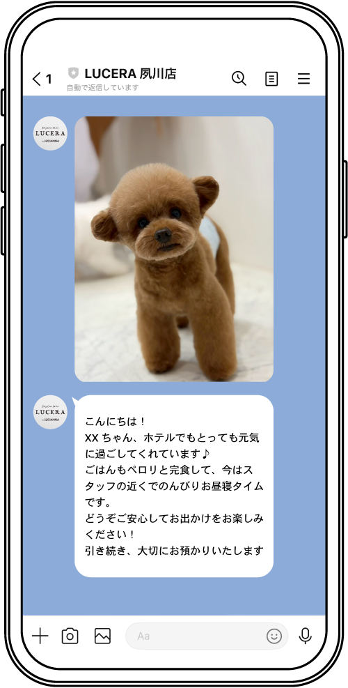 LINEレポートオプションイメージ