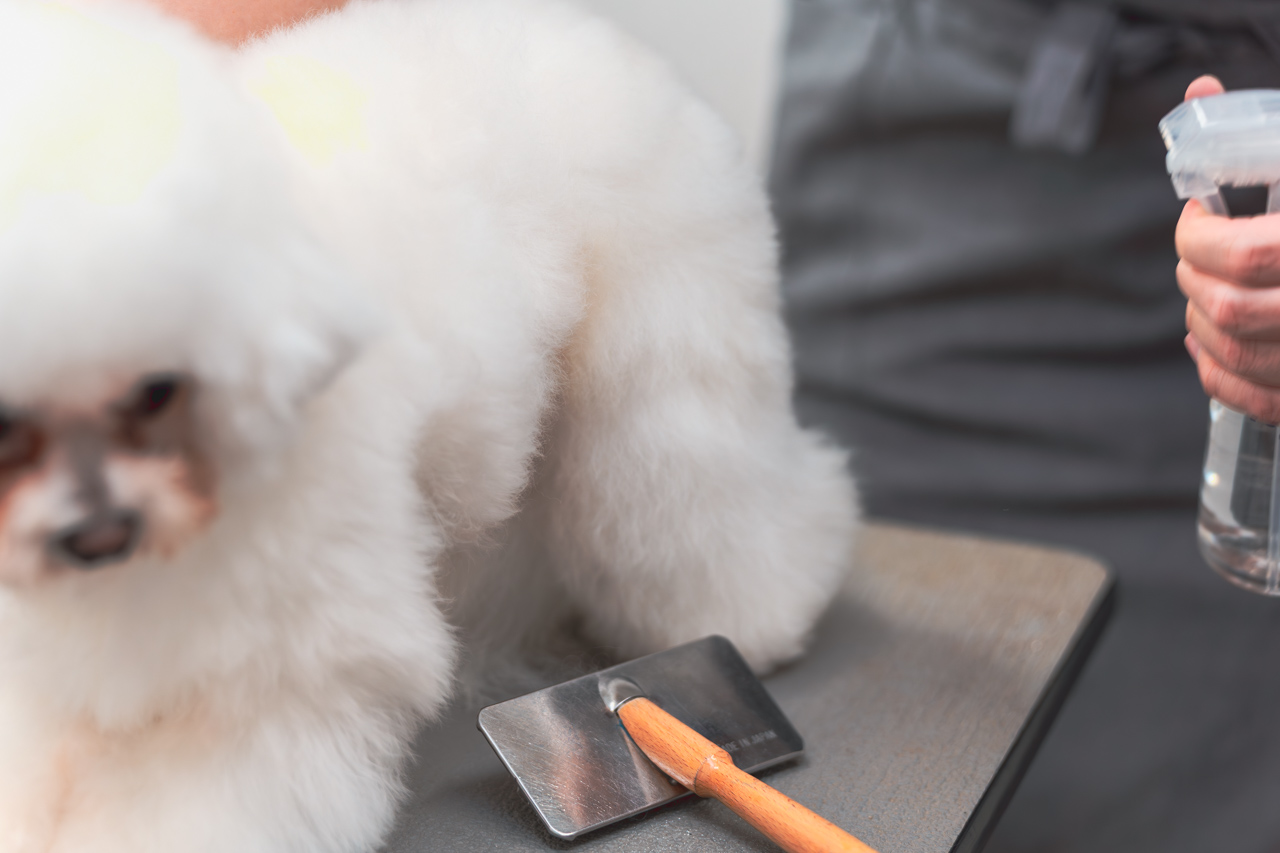 トリミング風景写真